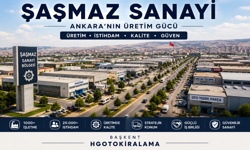 Şaşmaz oto kiralama fiyatı: kısa açıklama